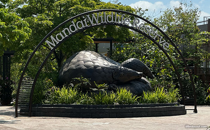 Mandai Wildlife East: Food, Attractions & Things To Do 3 Mother and Child Pangolin