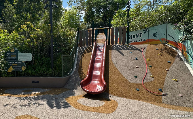 Adventure Play & Climbing Wall Playground At Mandai Wildlife EAST 6 Giant Climbing Wall