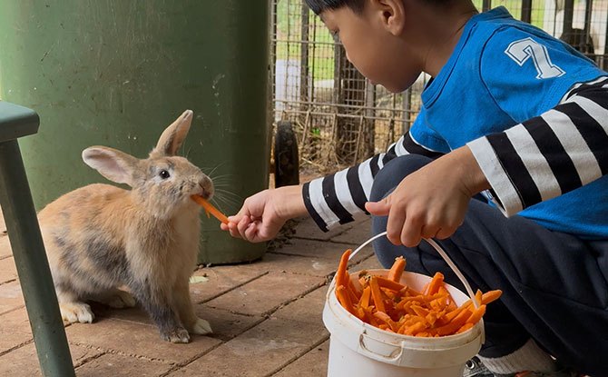 A 5D4N Road Trip To Margaret River In Western Australia 8 Country Life Farm
