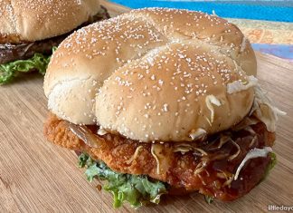 Taste Test: McDonald's Yakiniku Chicken and Beef Burger