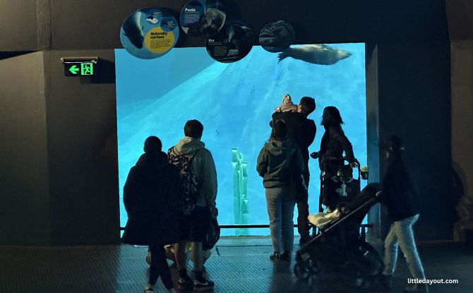 Melbourne Zoo: Australian Animals & Other Wild Encounters 7 Wild Sea