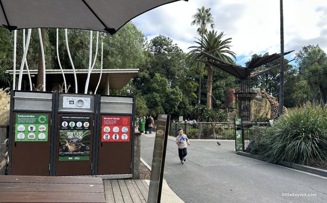 Melbourne Zoo: Australian Animals & Other Wild Encounters 8 Giraffe Lookout Cafe
