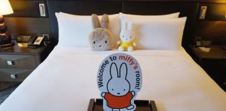 miffy staycation