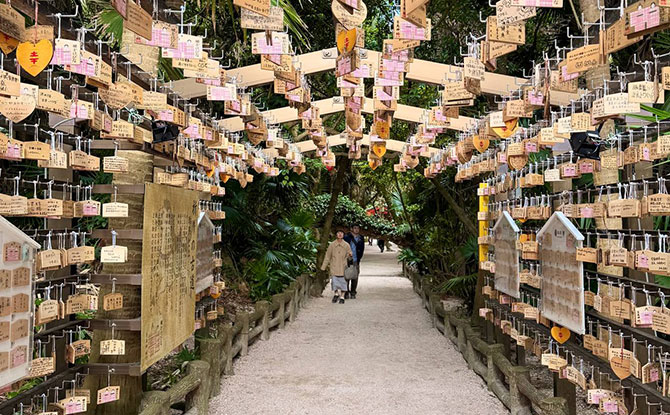 Explore Aoshima Shrine