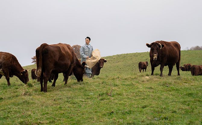 Modern Provision: Online Grocer Focused On Food That Is Good For The Ecosystem With Chinese New Year Sets 2 Japan farm