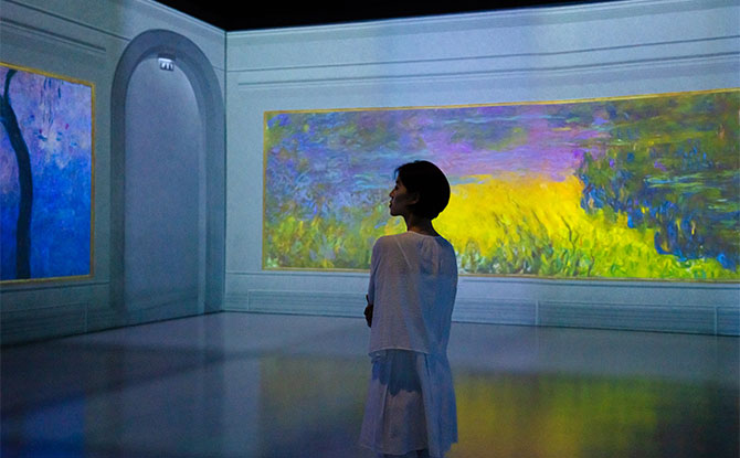 Journey Through Monet's Art