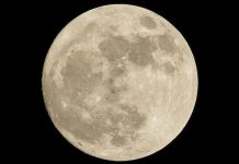 Harvest Moon: Interesting Things To Know About The Last Supermoon Of The Year