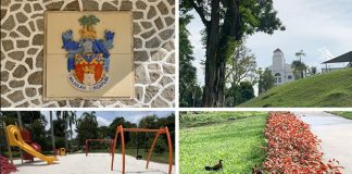 Mount Emily Park: Hidden Hilltop Greenery In The City