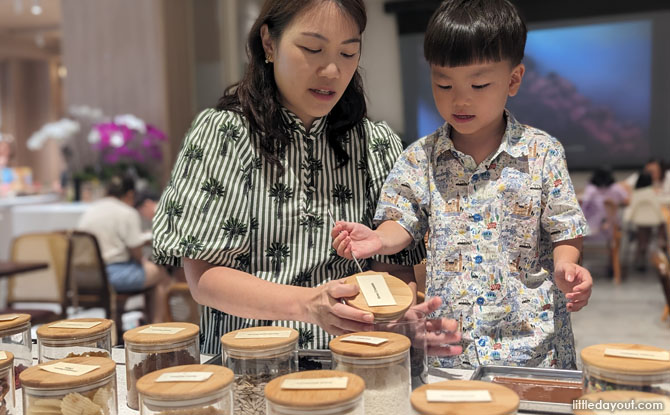 Visit and be transported into the world of chocolate at Mr Bucket Chocolaterie