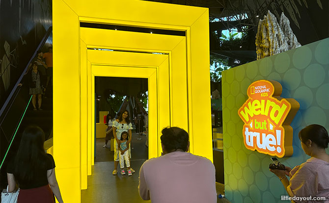 National Geographic Kids Weird But True exhibition  