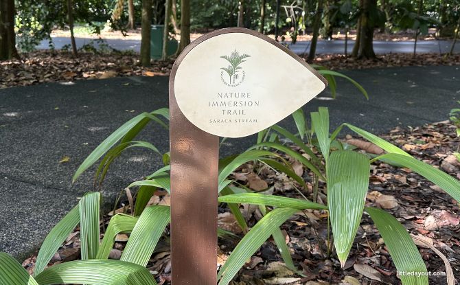 Nature Immersion Trail At Saraca Stream, Singapore Botanic Gardens 1 Nature Immersion Trail at Singapore Botanic Gardens