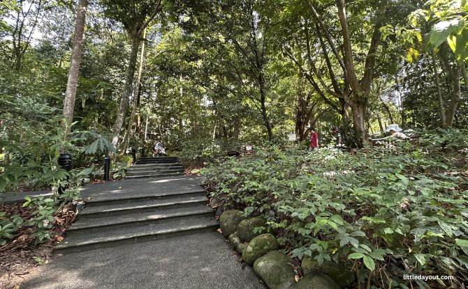 Nature Immersion Trail At Saraca Stream, Singapore Botanic Gardens Nature Immersion Trail At Saraca Stream, Singapore Botanic Gardens