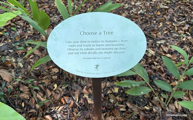 Nature Immersion Trail At Saraca Stream, Singapore Botanic Gardens 2 Prompt Stations to Connect with Nature