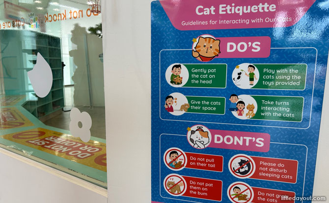 Nekoland Cat Interaction Zone