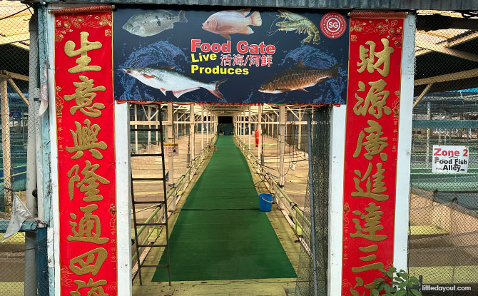 Food Fish Alley