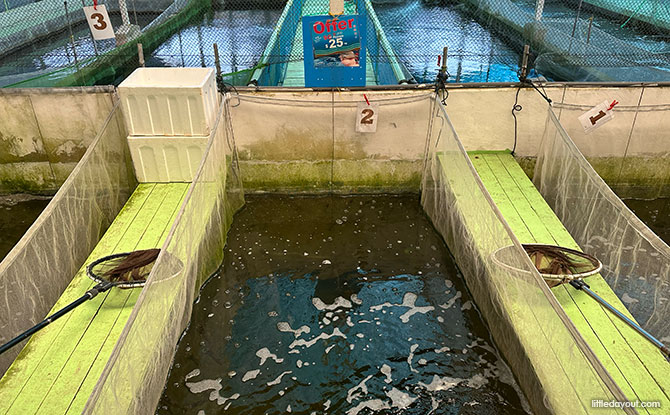 Seafood for sale at Nippon Koi Farm