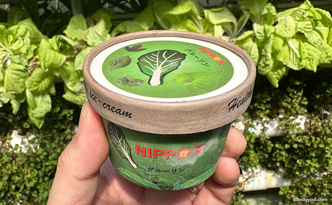 Brazilian Spinach Ice Cream