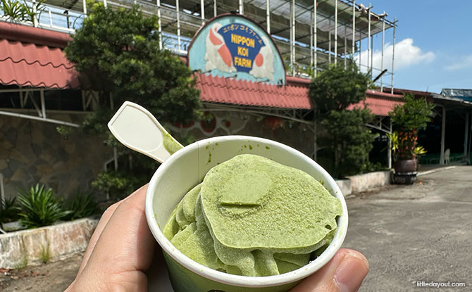Nippon Koi Farm: Fish, Vegetables & Spinach Ice Cream!