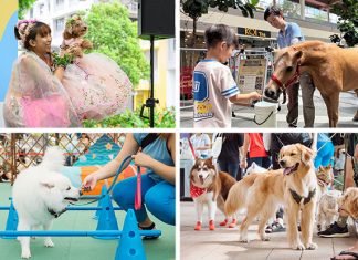 Summer Paw Fest @ Northshore Plaza: The Biggest Neighbourhood Pet Event With Attractive Freebies, Games & The Cutest Pet Contest You Won’t Want To Miss Summer Paw Fest @ Northshore Plaza: The Biggest Neighbourhood Pet Event With Attractive Freebies, Games & The Cutest Pet Contest You Won’t Want To Miss