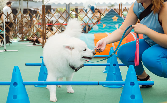 Summer Paw Fest @ Northshore Plaza: The Biggest Neighbourhood Pet Event With Attractive Freebies, Games & The Cutest Pet Contest You Won’t Want To Miss 3 Temptation Trail