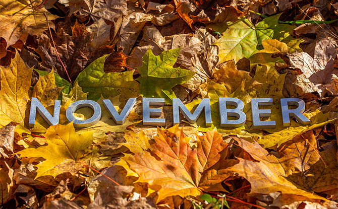 Even More November Jokes to Share around the Table