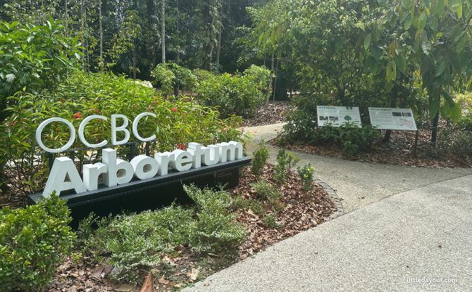 Singapore Botanic Gardens Gallop Extension: Mingxin Foundation Rambler’s Ridge & OCBC Arboretum 7 OCBC Arboretum