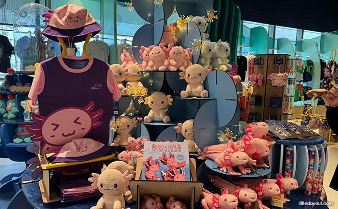 Ocean Kids Festival At Singapore Oceanarium: Hands-On Activities & Learning Experiences 3 Other Offerings at Singapore Oceanarium's Ocean Kids Festival