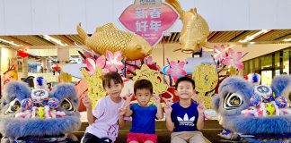 27 Chinese New Year 2026 Events, Activities & Things To Do In Singapore For Festive Celebrations