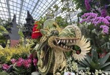 Orchid Extravaganza 2026: Experience The Rich Heritage Of Indonesia Amidst 7,000 Orchids At Gardens By The Bay Orchid Extravaganza 2026: Experience The Rich Heritage Of Indonesia Amidst 7,000 Orchids At Gardens By The Bay