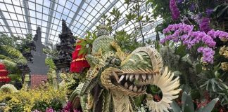 Things To Do This Weekend In Singapore: 18 To 19 July 2026