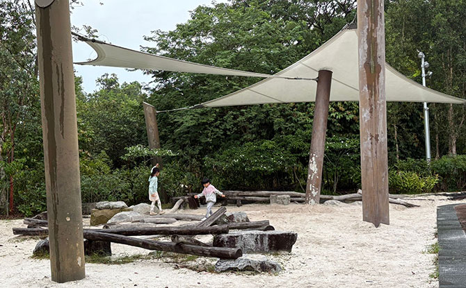 Otter Play at Forest Ramble, Jurong Lake Gardens