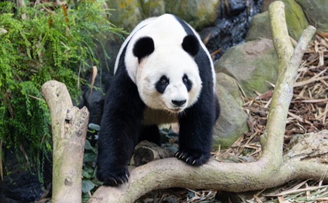 River Wonders Guide: Experience Life Along The River Across 9 Zones 2 Jia Jia