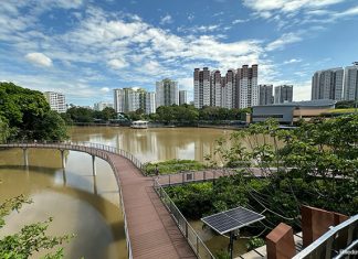Pang Sua Pond: Floating Wetlands & Boardwalks Pang Sua Pond: Floating Wetlands & Boardwalks