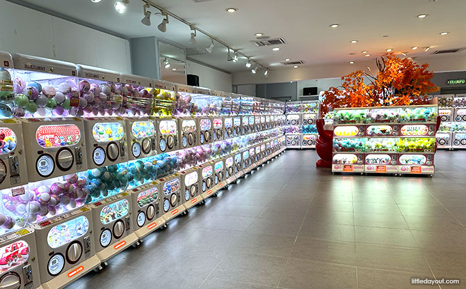 Daruma at Paradigm Mall