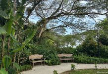 Pasir Ris Park Therapeutic Garden: Enjoy The Sea View And Unwind Pasir Ris Park Therapeutic Garden