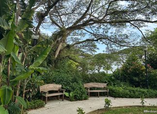 Pasir Ris Park Therapeutic Garden: Enjoy The Sea View And Unwind Pasir Ris Park Therapeutic Garden