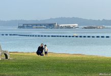 16 Reasons Why Pasir Ris Park Is Awesome For A Day Of Exploration 15 Reasons Why Pasir Ris Park Is Awesome For A Day Of Exploration