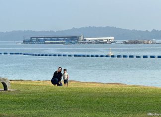 15 Reasons Why Pasir Ris Park Is Awesome For A Day Of Exploration