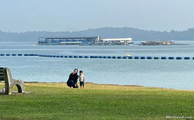 15 Reasons Why Pasir Ris Park Is Awesome For A Day Of Exploration