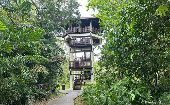 Bird Watching Tower at Pasir Ris Park