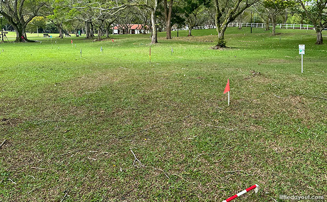 Woodball Course at Pasir Ris Park