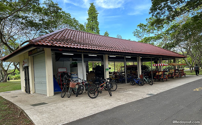 Cycling at Pasir Ris Park