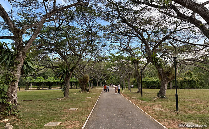 Overview of Pasir Ris Park