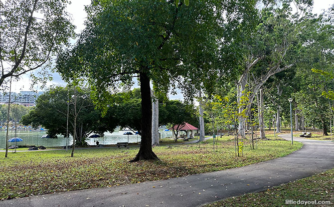 What Else to Do at Pasir Ris Town Park