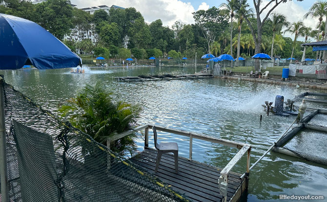 Prawning pond at Pasir Ris Town Park