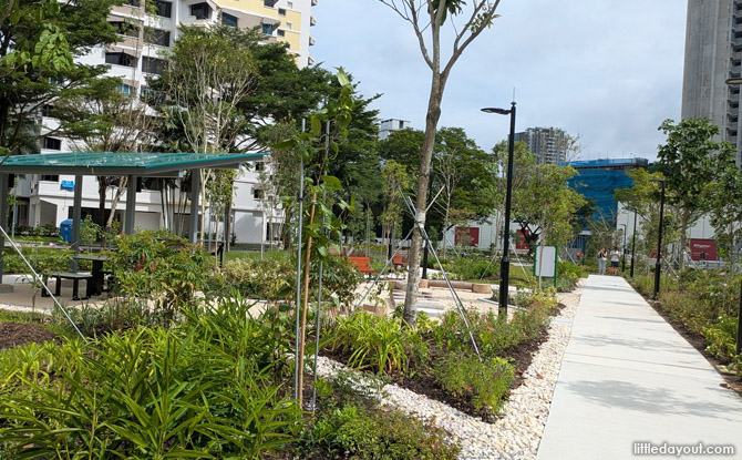 The plants at the Edible & Spice Garden