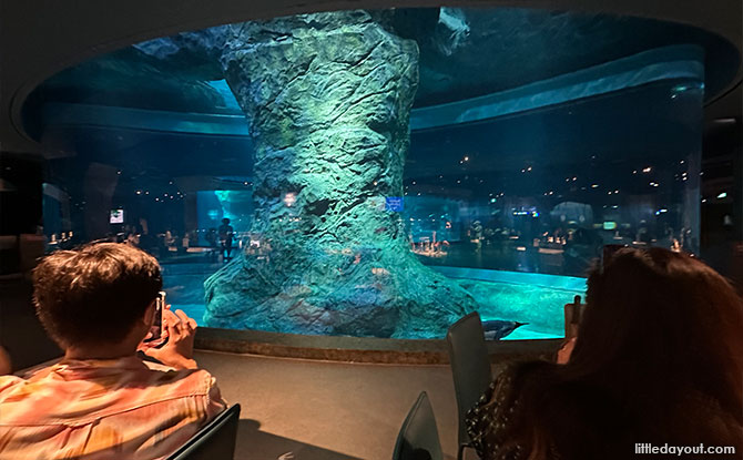 View of the Penguins
