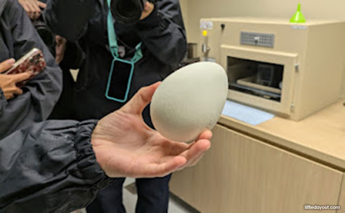 Incubation Room