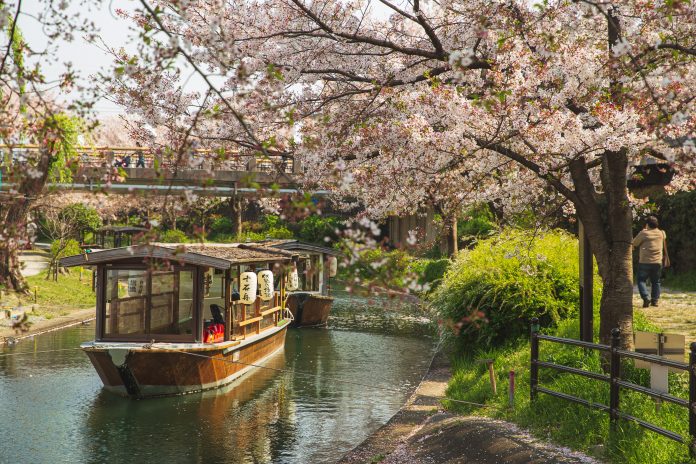pexels-ryutaro-tsukata-5473010 Capitals of Asia: Interesting Facts For Kids