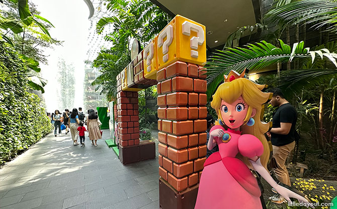 Princess Peach and Toad